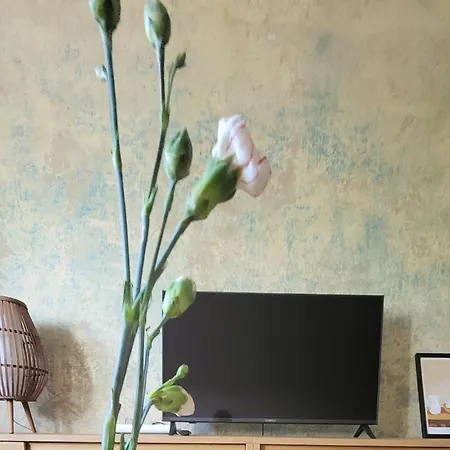 Gizyckie Boho